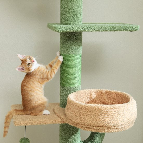 Kaktus-Kratzbaum für mehrere Katzen – Verstellbarer Boden-Decken-Kratzbaum mit 5 Ebenen
